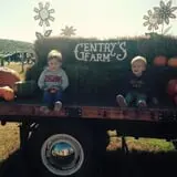 Gentry's Farm Pumpkin Patch & Corn Maze photo