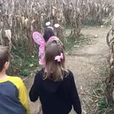 Gentry's Farm Pumpkin Patch & Corn Maze photo