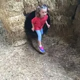 Gentry's Farm Pumpkin Patch & Corn Maze photo