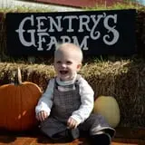 Gentry's Farm Pumpkin Patch & Corn Maze photo
