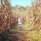 Gentry's Farm Pumpkin Patch & Corn Maze photo
