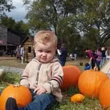 Gentry's Farm Pumpkin Patch & Corn Maze photo
