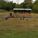 Gentry's Farm Pumpkin Patch & Corn Maze photo