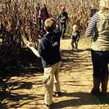 Gentry's Farm Pumpkin Patch & Corn Maze photo