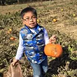 Gentry's Farm Pumpkin Patch & Corn Maze photo