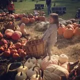 Gentry's Farm Pumpkin Patch & Corn Maze photo