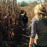 Gentry's Farm Pumpkin Patch & Corn Maze photo