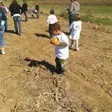 Gentry's Farm Pumpkin Patch & Corn Maze photo