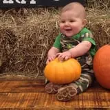 Gentry's Farm Pumpkin Patch & Corn Maze photo