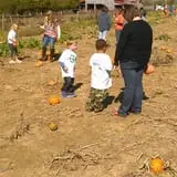 Gentry's Farm Pumpkin Patch & Corn Maze photo