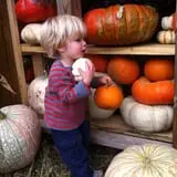 Gentry's Farm Pumpkin Patch & Corn Maze photo