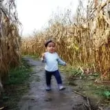 Gentry's Farm Pumpkin Patch & Corn Maze photo