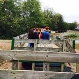Gentry's Farm Pumpkin Patch & Corn Maze photo