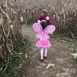 Gentry's Farm Pumpkin Patch & Corn Maze photo