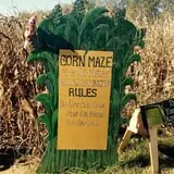 Gentry's Farm Pumpkin Patch & Corn Maze photo