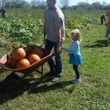 Gentry's Farm Pumpkin Patch & Corn Maze photo