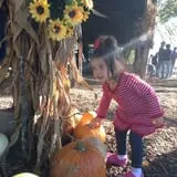 Gentry's Farm Pumpkin Patch & Corn Maze photo