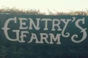 Gentry's Farm Pumpkin Patch & Corn Maze