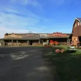 Dan Cramer's Western Town Pumpkin Patch photo