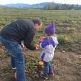 Dan Cramer's Western Town Pumpkin Patch photo