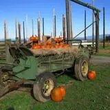 Dan Cramer's Western Town Pumpkin Patch photo