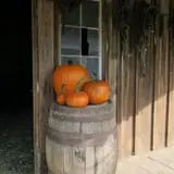 Dan Cramer's Western Town Pumpkin Patch photo