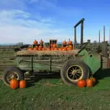 Dan Cramer's Western Town Pumpkin Patch photo