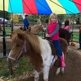Dan Cramer's Western Town Pumpkin Patch photo