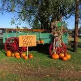 Dan Cramer's Western Town Pumpkin Patch photo