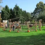 Dan Cramer's Western Town Pumpkin Patch photo