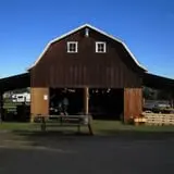 Dan Cramer's Western Town Pumpkin Patch photo