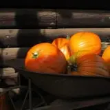 Dan Cramer's Western Town Pumpkin Patch photo