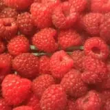 Spooner Farms photo