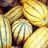 Spooner Farms photo