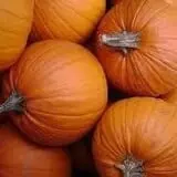 Spooner Farms photo
