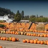 Spooner Farms photo