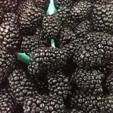 Spooner Farms photo