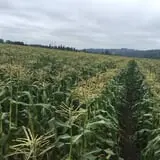 Spooner Farms photo