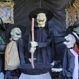 Marini Farm Corn Maze photo