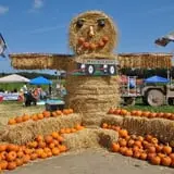 Marini Farm Corn Maze photo