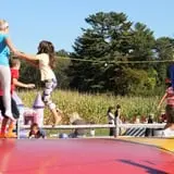 Marini Farm Corn Maze photo