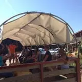Marini Farm Corn Maze photo