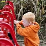 Marini Farm Corn Maze photo