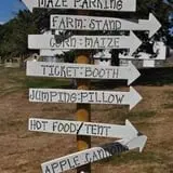 Marini Farm Corn Maze photo