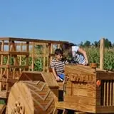 Marini Farm Corn Maze photo
