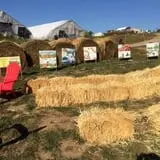 Marini Farm Corn Maze photo