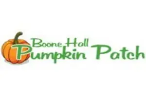 Boone Hall Pumpkin Patch