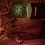Haunted Swamp Adventure photo