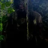 Haunted Swamp Adventure photo