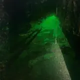 Haunted Swamp Adventure photo